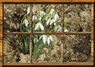 Die vier Jahreszeiten ... Frhling - Sommer - Herbst und Winter